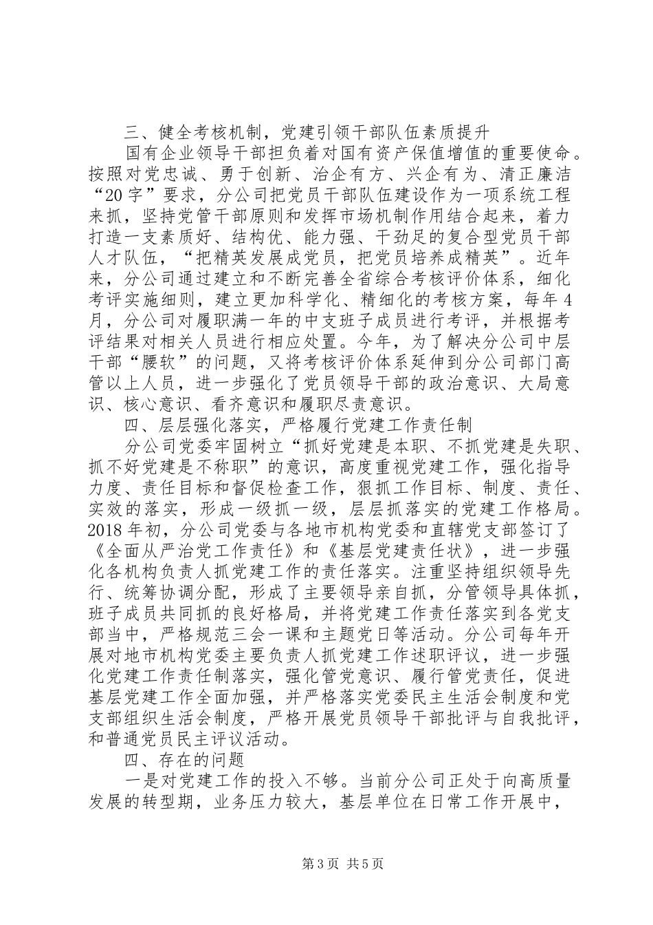 分公司关于总结党建有关情况的报告_第3页