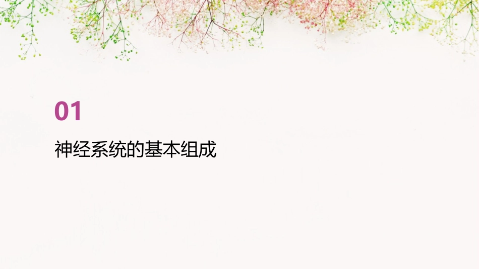 高中生物   通过神经系统的调节课件 理 新人教必修_第3页