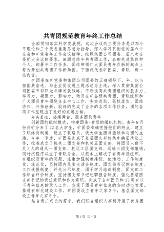 共青团规范教育年终工作总结