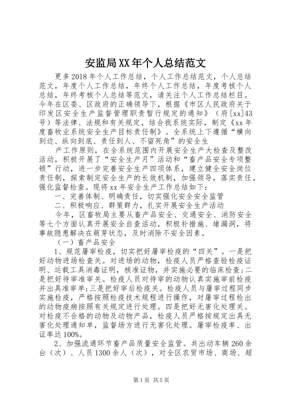 安监局XX年个人总结范文_第1页