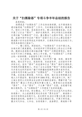 关于“扫黑除恶”专项斗争半年总结的报告