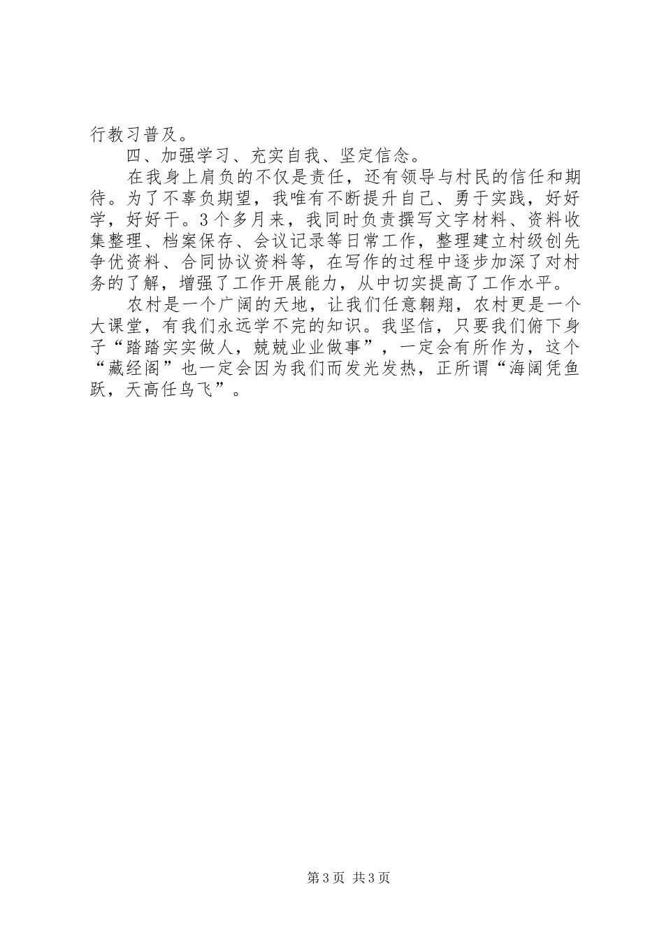 工作经历及工作总结_第3页