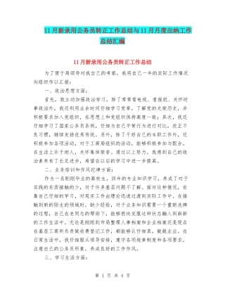 11月新录取公务员转正工作总结与11月月度出纳工作总结汇编