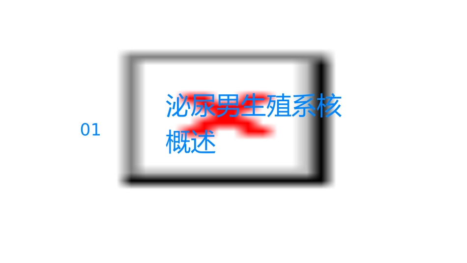 泌尿男生殖系结核课件_第3页