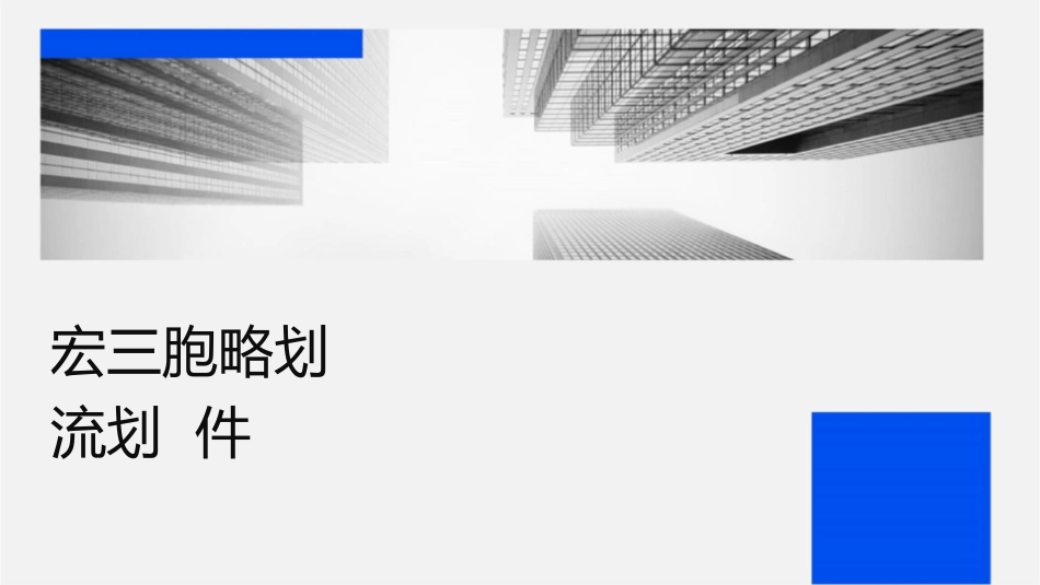 宏图三胞战略规划仓储物流规划课件_第1页