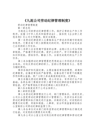 《九泥公司劳动纪律管理规章制度细则》