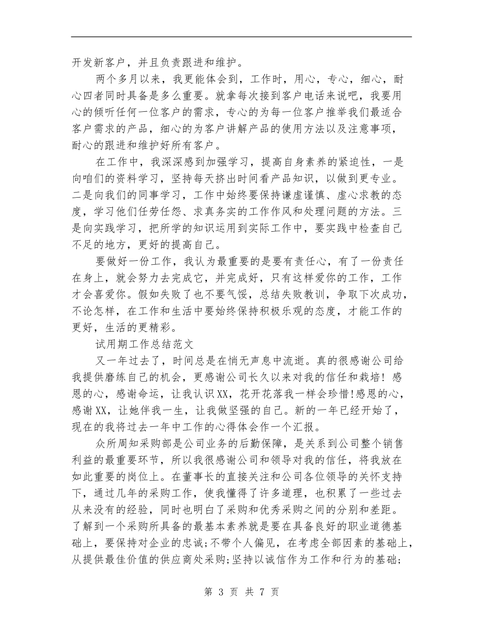 2024年销售员试用期工作总结3_第3页