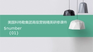 美国科特勒集团高级营销精英研修课件