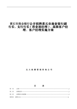 某某市商业银行公开招聘高层管理人员实施方案
