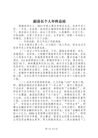 副县长个人年终总结