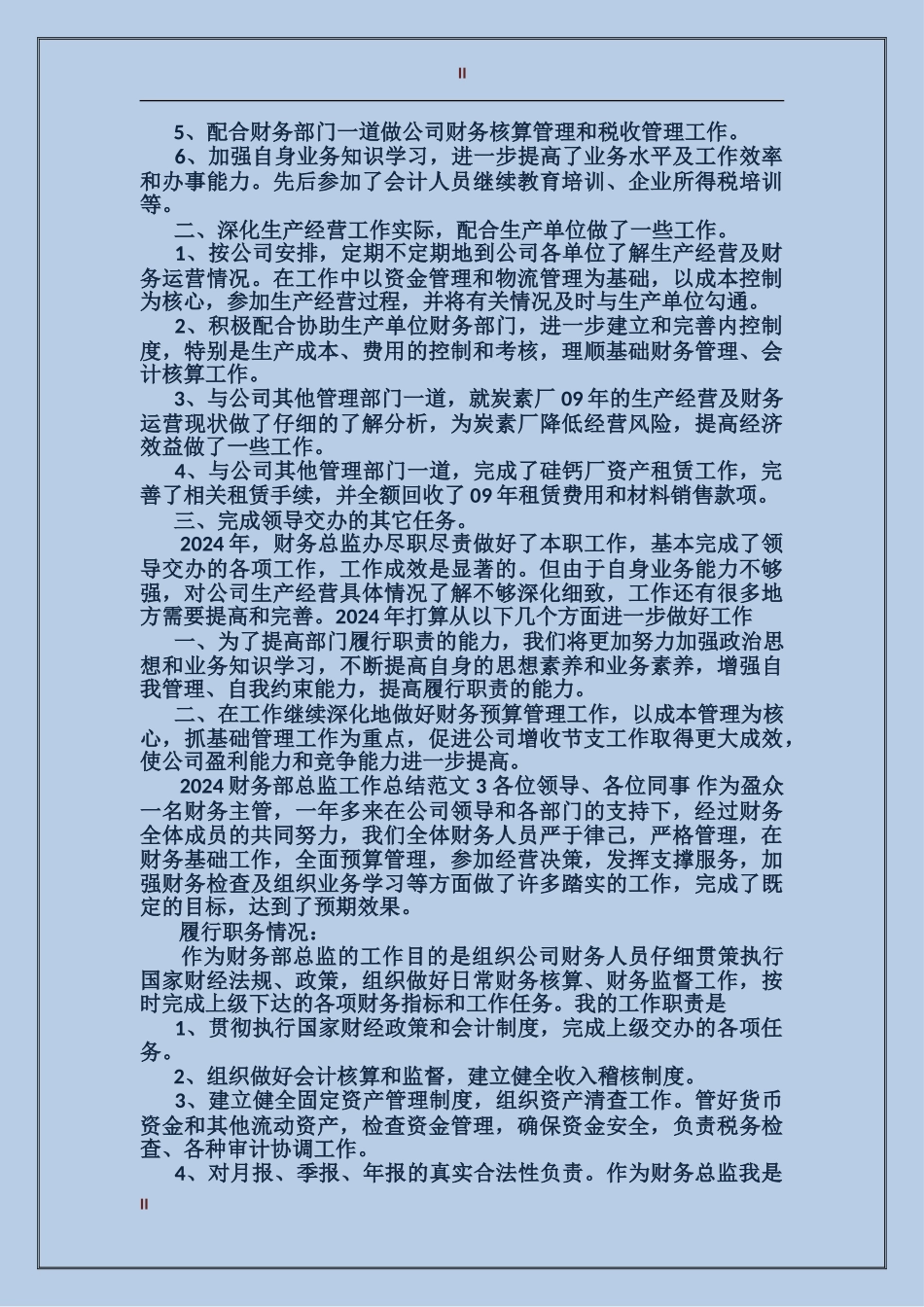 2024年财务部总监工作总结_第2页