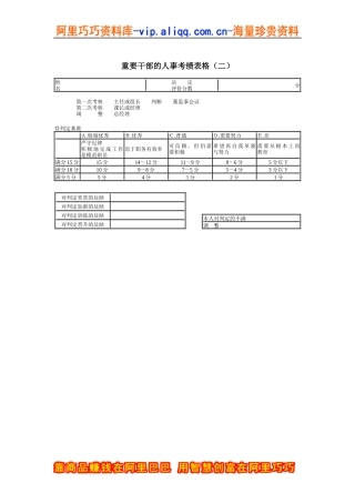重要干部的人事考绩表格2（DOC 1页）