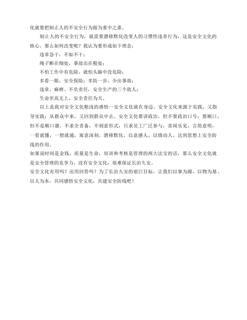 《安全文化》之安全文化有用吗？ _第2页