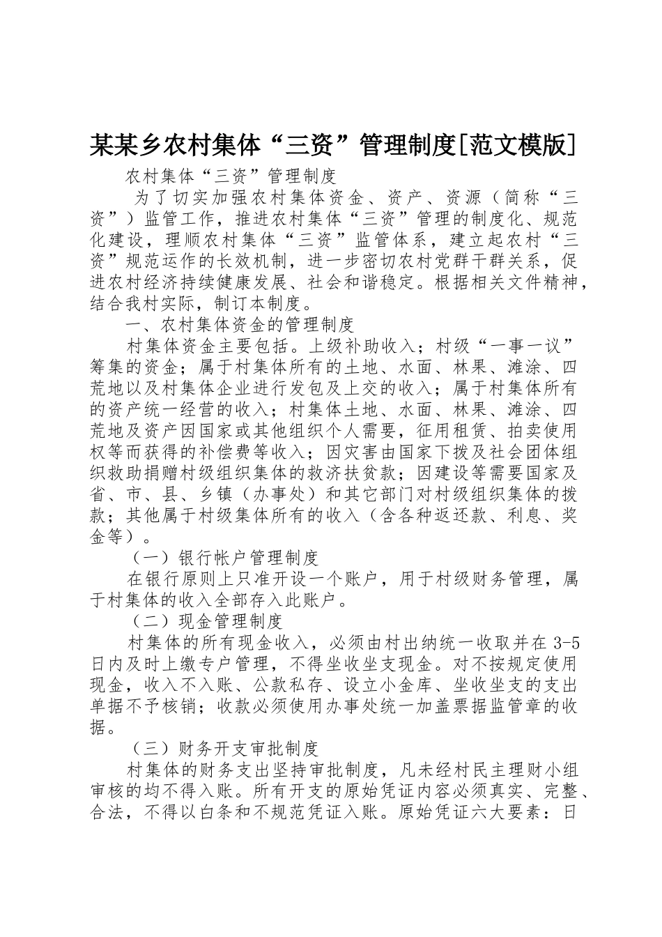 某某乡农村集体“三资”管理规章制度细则[范文模版]_第1页