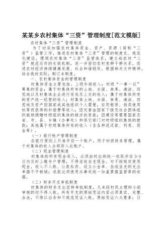 某某乡农村集体“三资”管理规章制度细则[范文模版]