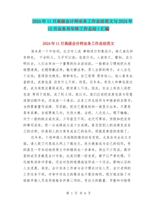 2024年11月高级会计师业务工作总结范文与2024年12月业务员年终工作总结1汇编