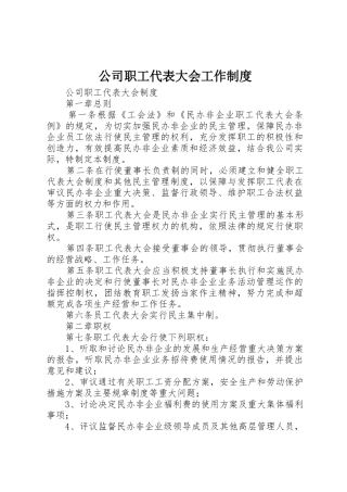 公司职工代表大会工作规章制度 