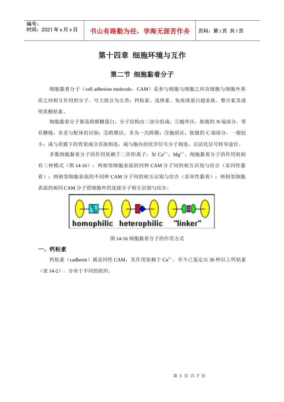 第十一章细胞环境与互作_第1页