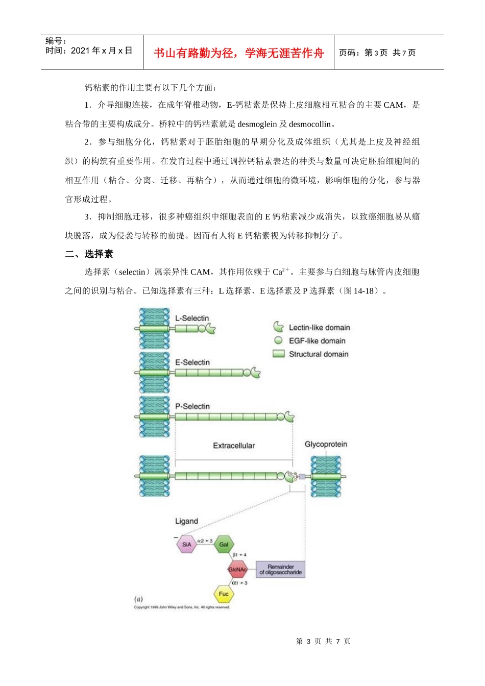 第十一章细胞环境与互作_第3页
