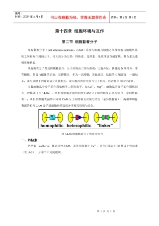 第十一章细胞环境与互作