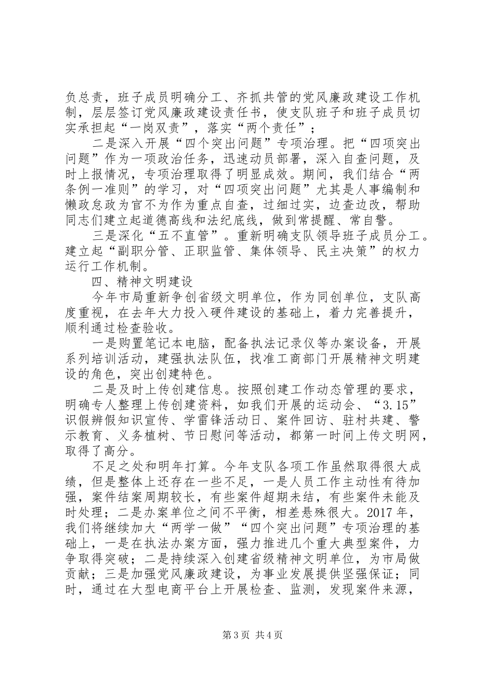 工商局经检支队工作总结_第3页