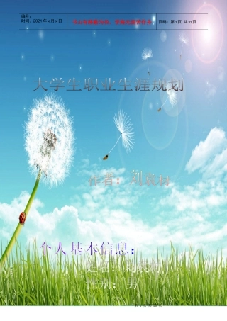 职业生涯规划获奖作品