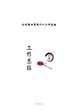 公司预决算部个人工作总结