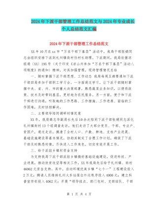 2024年下派干部管理工作总结范文与2024年专业成长个人总结范文汇编