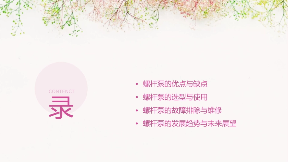 螺杆泵工作原理课件_第2页