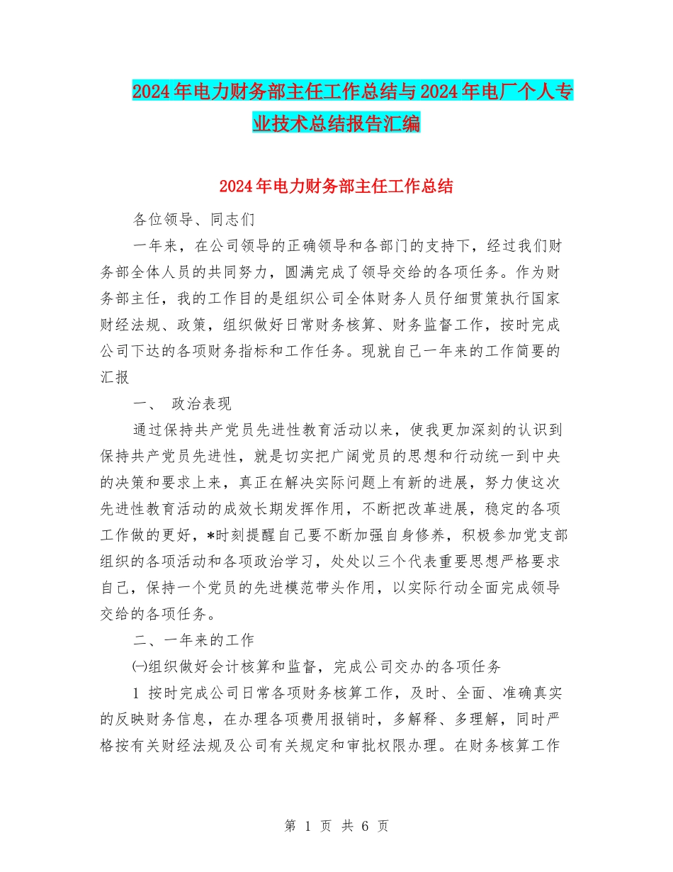 2024年电力财务部主任工作总结与2024年电厂个人专业技术总结报告汇编_第1页