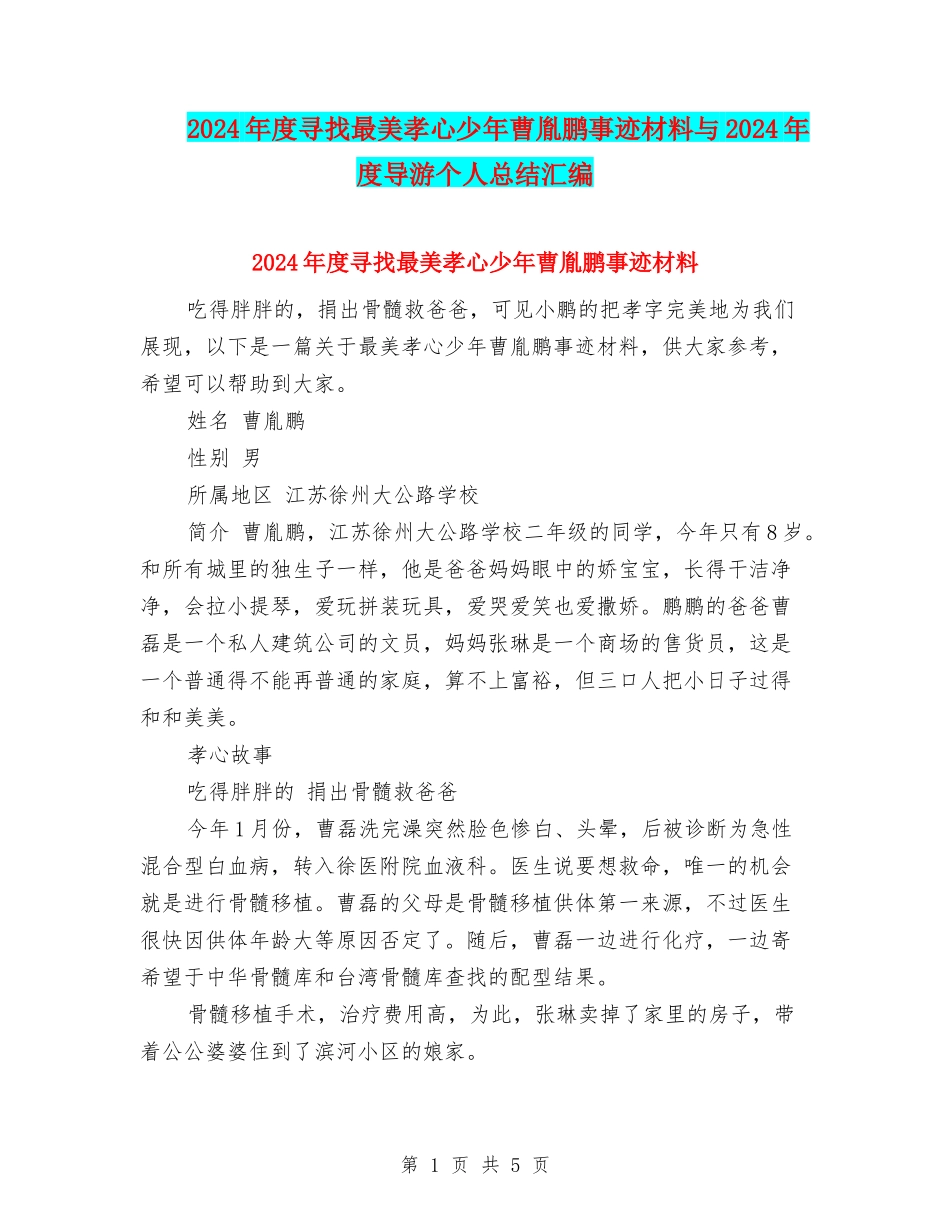 2024年度寻找最美孝心少年曹胤鹏事迹材料与2024年度导游个人总结汇编_第1页