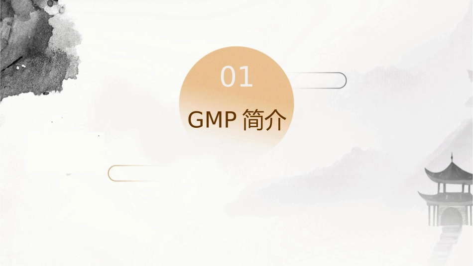 美国药品GMP监管简介课件_第3页