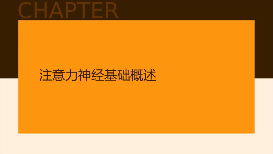注意力神经基础分析护理课件_第3页
