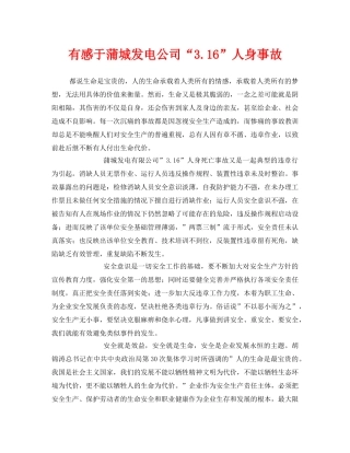 《安全管理文档》之有感于蒲城发电公司“316”人身事故 