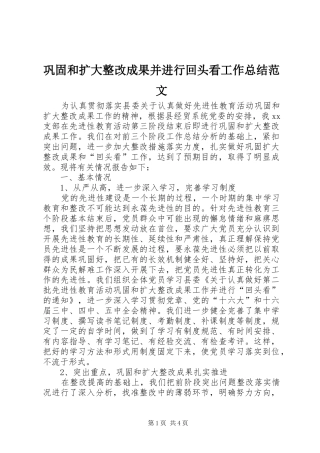 巩固和扩大整改成果并进行回头看工作总结范文