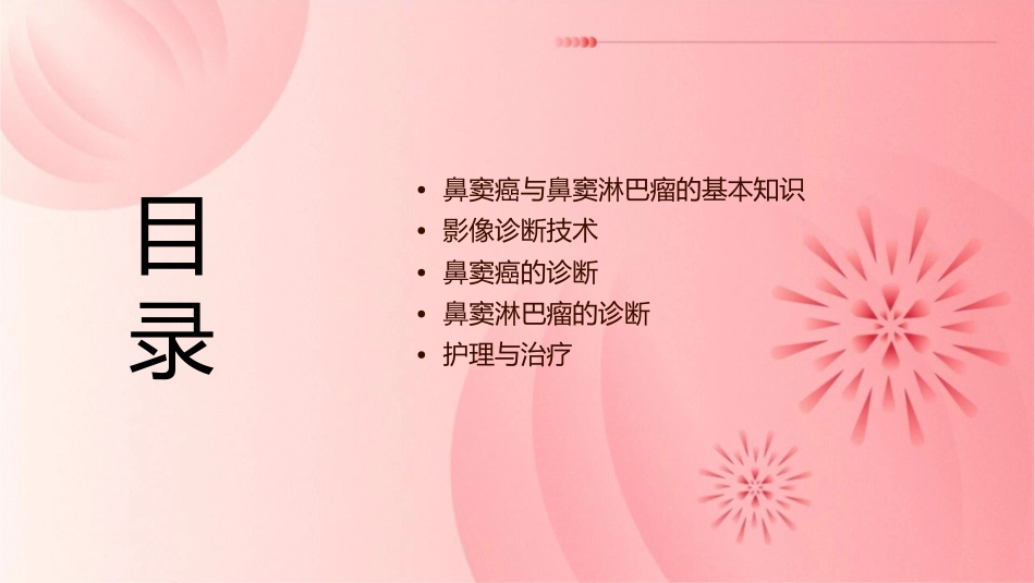 鼻窦癌与鼻窦淋巴瘤的影像诊断与鉴别诊断护理课件_第2页