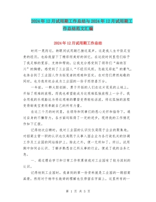 2024年12月试用期工作总结与2024年12月试用期工作总结范文汇编