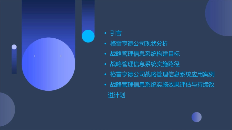 格雷亨德公司的战略管理信息系统_第2页