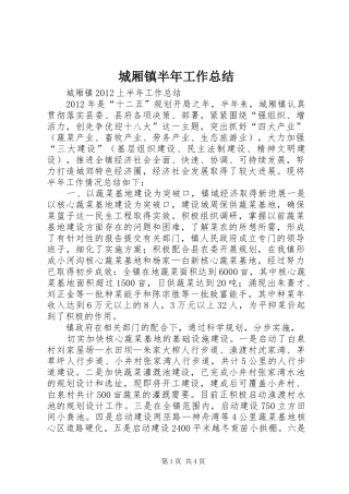 城厢镇半年工作总结