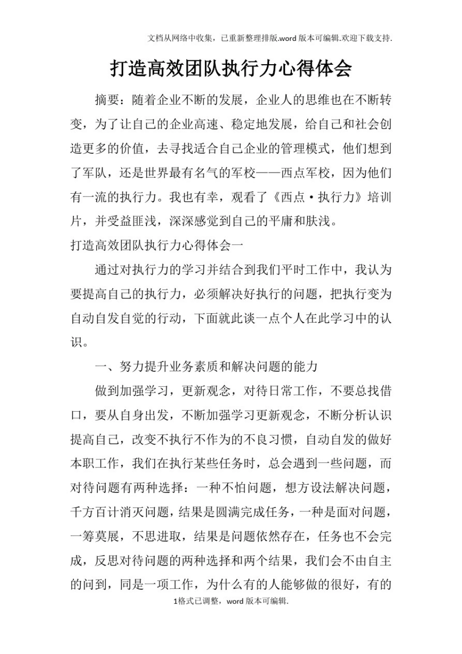 打造高效团队执行力心得体会_第1页