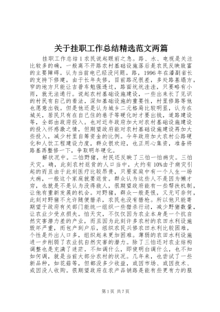 关于挂职工作总结精选范文两篇