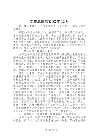 工作总结范文XX年12月