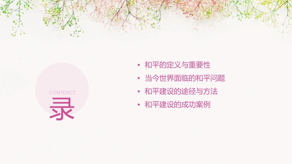 让世界沐浴和平的阳光课件_第2页