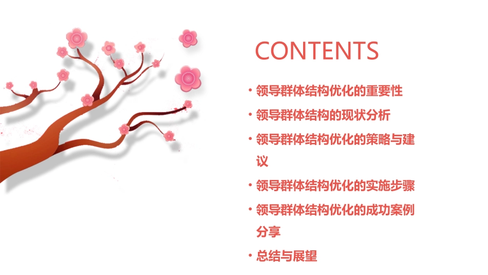 领导群体结构的优化修订稿课件_第2页