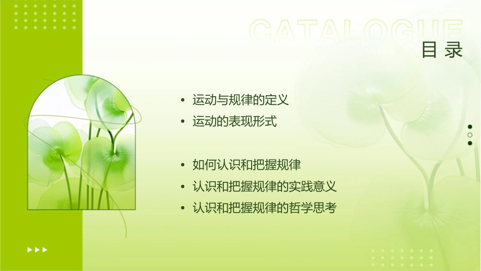 认识运动把握规律汇总课件_第2页