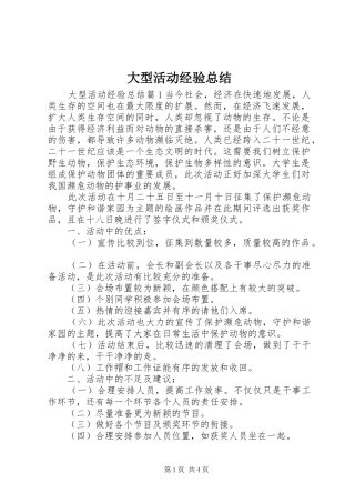 大型活动经验总结