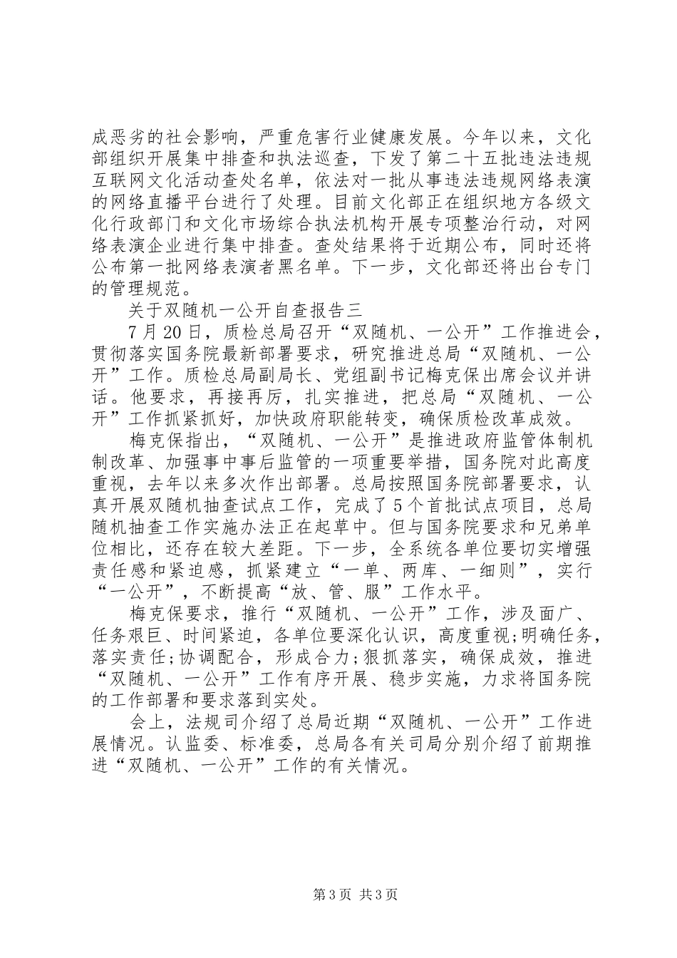 关于双随机一公开自查报告总结_第3页