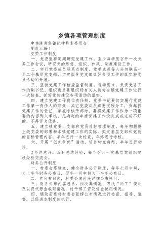 乡镇各项管理规章制度 