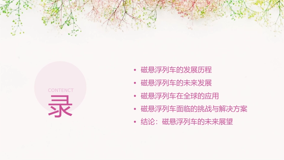 磁悬浮列车原理及未来发展课件_第2页