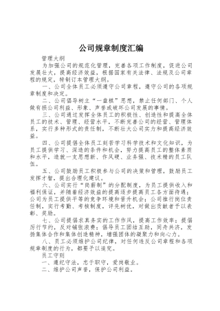 公司规章规章制度汇编  (2)